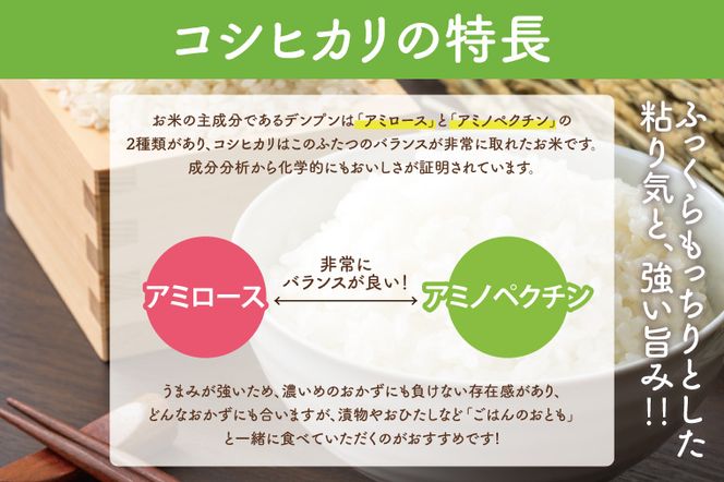 CQ-85　★新米先行予約★【数量限定】人気の個包装でお届け！【2024年10月より順次発送】【無洗米】令和6年産　茨城県産　極上　コシヒカリ5kg　らぽっぽなめがたファーマーズヴィレッジ　らぽっぽファーム　国産　産地直送　米　お米　新米　自炊　精米　白米　ふっくら　もっちり　おかず　ごはんのおとも