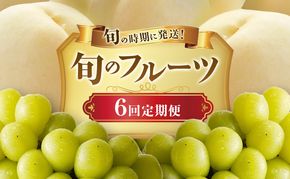 【2026年先行受付】 白桃 シャインマスカット 晴王 6回 定期便 桃 ぶどう 岡山県産 御中元 ギフト 御礼 プレゼント 御礼 御祝 御供 果物 くだもの フルーツ もも モモ 葡萄 ブドウ