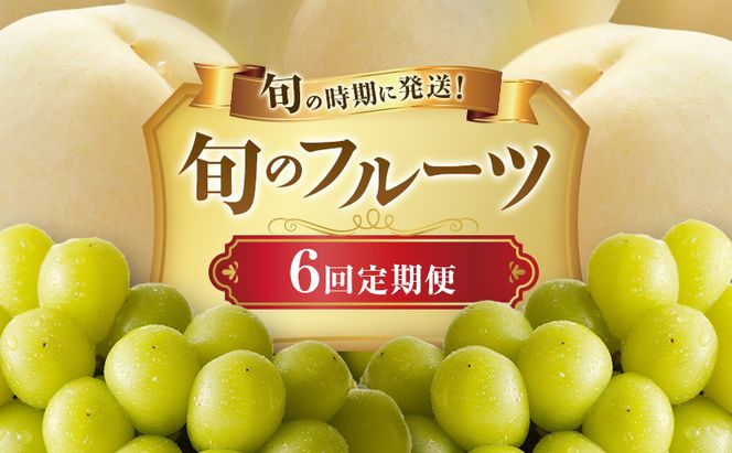 【2026年先行受付】 白桃 シャインマスカット 晴王 6回 定期便 桃 ぶどう 岡山県産 御中元 ギフト 御礼 プレゼント 御礼 御祝 御供 果物 くだもの フルーツ もも モモ 葡萄 ブドウ