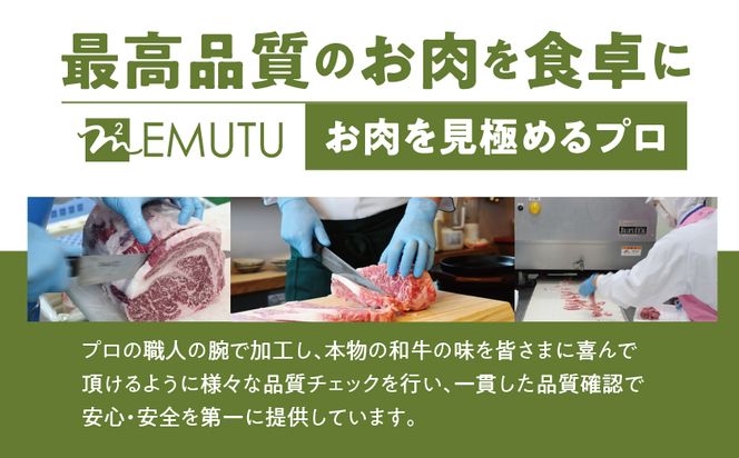 【数量限定】宮崎牛9種盛り焼肉セット_22-31-006-600g