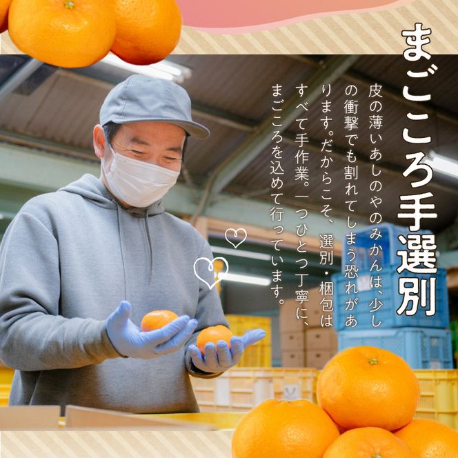 ZE6415_【秀品】【2026先行予約】有田みかん 和歌山県有田産 2kg (2S～Lサイズ混合) 【まごころ手選別】