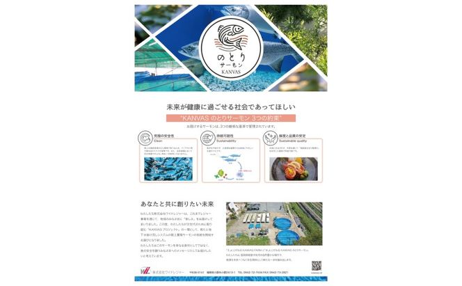 サーモン 朝倉市産 のとりサーモン 150g×4 魚 冷凍 ※配送不可:離島