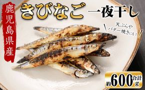 鹿児島県産 黒潮の恵み！天然物きびなご一夜干し約200g×3パック（合計約600g）a3-250