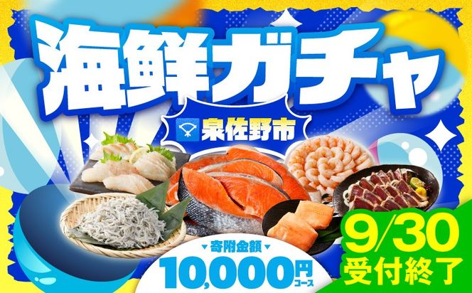 gacha015 【9/30受付終了】泉佐野 海鮮ガチャ（寄附10,000円コース）【期間限定 海鮮 えび 鮭 サーモン しらす 刺身 普段使い お楽しみ 翌月以降】