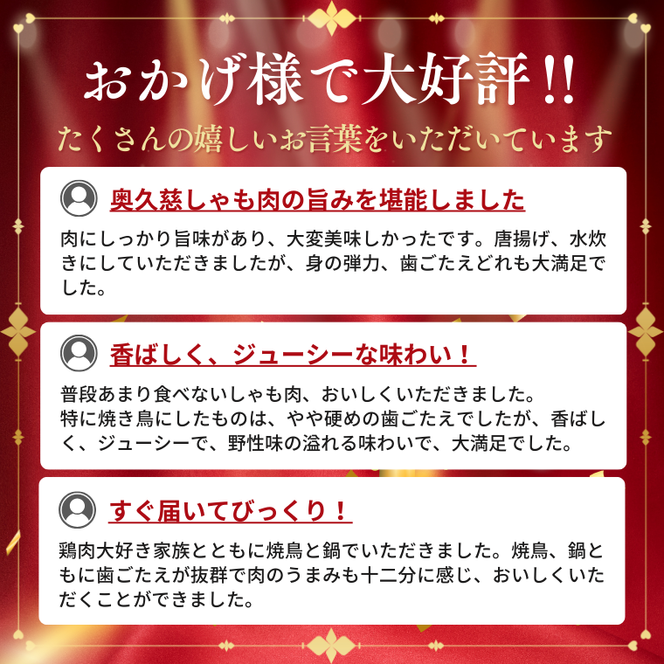 奥久慈しゃも肉詰め合わせ・贅沢4種セット（正肉スライス約200g・唐揚げ用カット約400g・ササミ約200g・焼き鳥肉串刺し10本入り）｜茨城県 大子町 奥久慈 袋田 奥久慈しゃも生産組合 軍鶏 シャモ 地鶏 鶏肉 正肉 からあげ ささみ 冷凍（AR007）