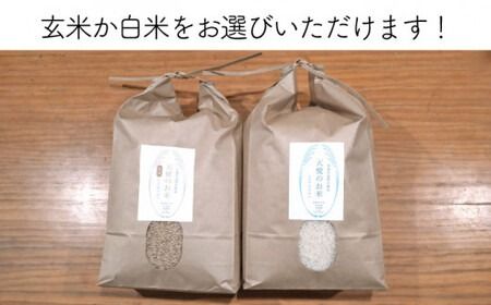 【新米予約受付中】＼令和6年産／自然栽培 ヒノヒカリ 5kg 《糸島》【大石ファーム】 [ATE001]