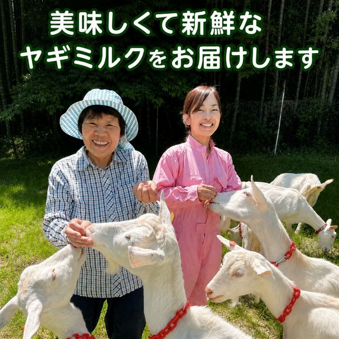 【定期便3回】国産グラスフェッド【人間・ペット兼用】粉末ヤギミルク10g×1袋　フリーズドライ加工（愛知ヤギ農場産） | 栄養満点 全脂粉乳 無添加 パウダー 山羊乳 送料無料
