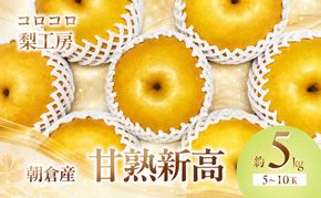 梨 新高梨 甘熟 味に自信あり！！約5kg 5～10玉入 配送不可 離島 ナシ 果物 フルーツ 先行予約 