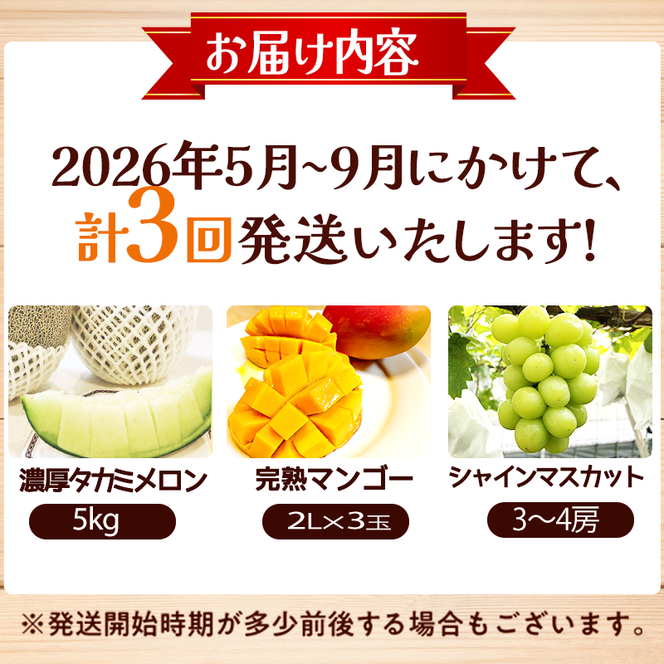 【定期便3回】契約農家直送の新鮮フルーツ定期便D（フルーツ 果物 くだもの マンゴー アップルマンゴー ブドウ ぶどう メロン 定期便）