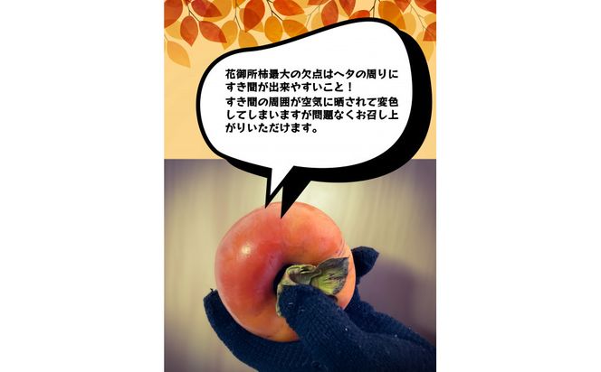 【先行予約】【鳥取市産・良品】花御所柿 約5kg｜甘柿最高クラスの糖度 追熟でとろける食感 和製マンゴーとも称される希少ブランド柿 312011_GN005