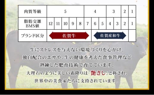 【佐賀牛】幻の部位★シャトーブリアン 国産 和牛 黒毛和牛 ブランド牛 希少部位 高級 贅沢 ステーキ お祝い ごちそう グルメ ギフト 贈り物 贈答用