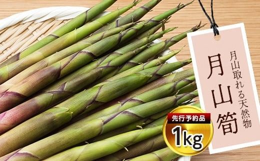 FYN9-178 《2026年先行予約》山形県産 天然山菜 月山筍 1kg 2026年6月中旬から順次発送 山菜 さんさい 野菜 やさい 筍 たけのこ 山の幸 特産品 自宅用 家庭用 ギフト プレゼント 期間限定 数量限定 産地直送 山形県 西川町 月山