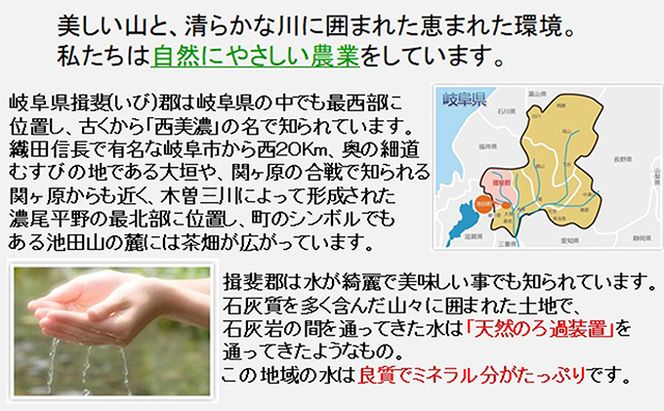定期便 6カ月【 令和8年産 】毎月  白米 5kg【 ハツシモ 】