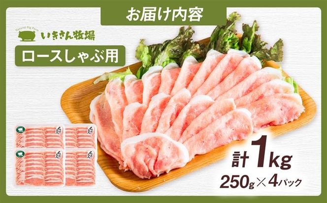 一貴山豚 ロースしゃぶ用 計1kg(250g×4p) 糸島市 / いきさん牧場 豚肉 冷凍[AGB045] 豚肉 豚 ブランド豚 一貴山豚 ポーク ロース スライス 250g 小分け