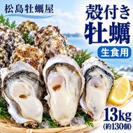 【先行予約の生牡蠣】殻付き 牡蠣 生食用 13kg (約130個) 宮城県産 送料無料 生牡蠣 かき カキ 牡蛎 松島牡蠣屋 産地直送 ふるさと納税 魚介類 バーベキュー BBQ ギフト
