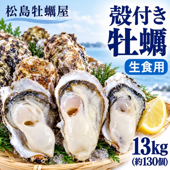 【先行予約の生牡蠣】殻付き 牡蠣 生食用 13kg (約130個) 宮城県産 送料無料 生牡蠣 かき カキ 牡蛎 松島牡蠣屋 産地直送 ふるさと納税 魚介類 バーベキュー BBQ ギフト