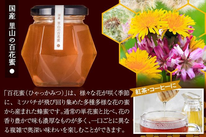 856シリーズ 国産 アカシヤ・トチ・里山 100g 各1個 山のはちみつ屋 [はちみつ ハチミツ 蜂蜜 栃 とち アカシア]|02_bsk-190101