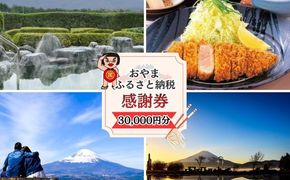 O40おやま ふるさと納税 感謝券 100,000円分（1,000円券×30枚）