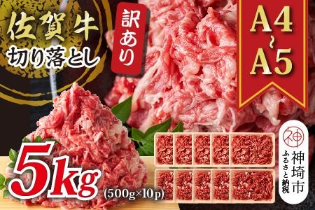 yꌧ_sz󂠂IyA4`A5zꋍ؂藎Ƃ 5kg(500g×10P)y  uh јa ӂ邳Ɣ[Łz(H112284)