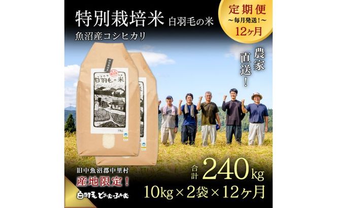 【通年受付】≪令和8年産≫【定期便／全12回】農家直送！魚沼産コシヒカリ特別栽培「白羽毛の米」精米(10kg×2袋)×12回 240kg お米