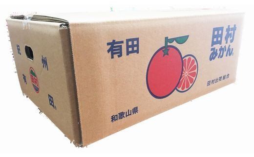 【先行予約受付中！】高級みかん ブランド 田村みかん 10kg ※2026年11月下旬～2027年1月下旬頃に順次発送予定（お届け日指定不可） 有田みかんの最高峰 / みかん ミカン 柑橘 フルーツ 果物 甘い 和歌山 柑橘類 【uot505A】