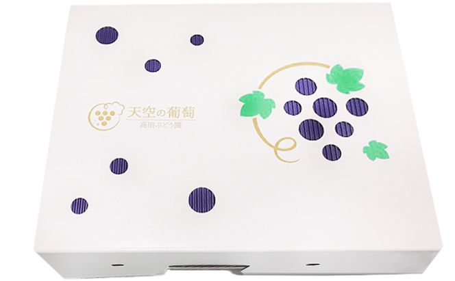 ぶどう 2026年度 早期受付 天空の葡萄(登録商標) ニュー ピオーネ 2房 1.2kg以上 1箱 美味しい笑顔をお約束 葡萄 フルーツ 岡山 高梁市産