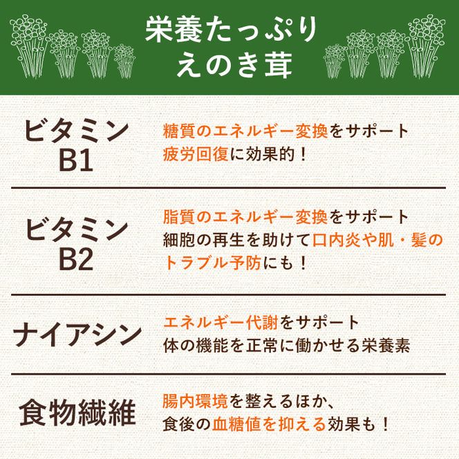 濃いえのき(10袋・計300g)国産 白えのき エノキ きのこ 茸 キノコ セット 個包装【三笠えのき茸生産組合】akn010-05