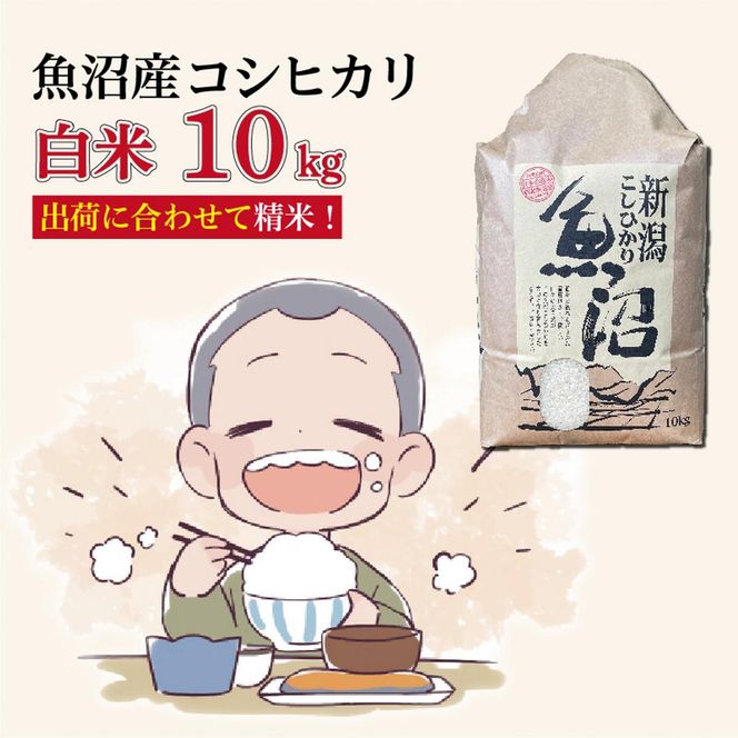 令和８年産新米　魚沼産コシヒカリ 精米10kg