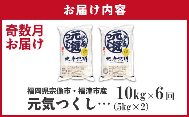 令和7年産 新米先行予約！【定期便/年6回】「元気つくし」10kg【ほたるの里】_HB0206