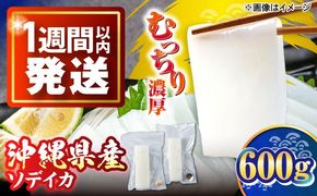セーイカ (そでいか) 0.6kg (300g ×2パック) 沖縄市 / 沖縄市漁業協同組合 パヤオ直売店[BCDZ002]