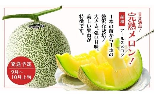 【 野菜ソムリエ 厳選 】 旬 の フルーツ 定期便 ( フルーツトマト スタート ) 4回 先行予約 果物 いちご イチゴ 苺 とちおとめ やよいひめ かおり野 すいか 小玉スイカ ピノガール トマト フルーツトマト メロン アールスメロン 新鮮 おすすめ ソムリエ 野菜 [AF095ci]