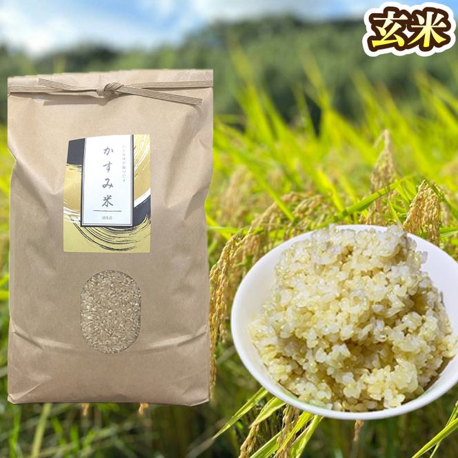 【2026年9月下旬より順次発送】★新米★R8年産 かすみ米 5kg(白米または玄米)【茨城県共通返礼品/潮来市】｜米 お米 新米 こめ かすみ米 5kg 白米 玄米 共通返礼品 茨城県共通返礼品 数量限定 先行予約 人気 送料無料(BI-88)