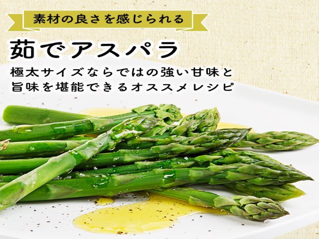 先行予約 2026年 川田農園 アスパラガス 約1kg L～2L 厳選 5月6月発送 アスパラ 野菜 旬の野菜 産地直送 季節の野菜 春野菜 青森 青森県 鰺ヶ沢町