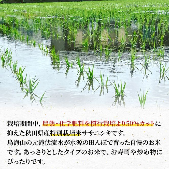 【令和8年産 新米予約】【無洗米】秋田県産特別栽培米ササニシキ5kg×1袋 新米 お米 おこめ 精米特別栽培米
