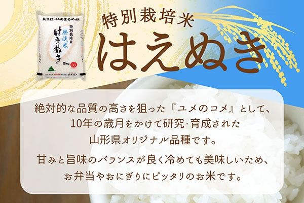 【新米受付】令和8年産 特別栽培米 はえぬき 無洗米 5kg 5kg×1袋 2026年産 ブランド米 米 国産 単一原料米 山形 庄内平野 コシヒカリの原点、亀の尾発祥の地 庄内【R8.10月以降発送開始/入金期限：2026年9月15日】