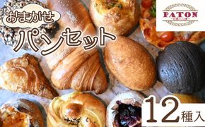 【種類はおまかせ】 冷凍 パン 12種類 セット カレーパン 惣菜パン 菓子パン ハード 食品 冷凍 温めるだけ おまかせ 冷凍パン おまかせパン 詰め合わせ ベーカリー ぱん ビーフカレーパン 自家製パン 静岡県 藤枝市