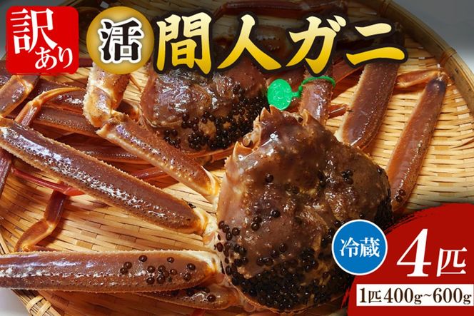 ys{OszԐl`l̊ۗFNOځE̊ԐlKjyzEAEԐlKjiYCKj@tKjj[400~600g×4C]@MG00015