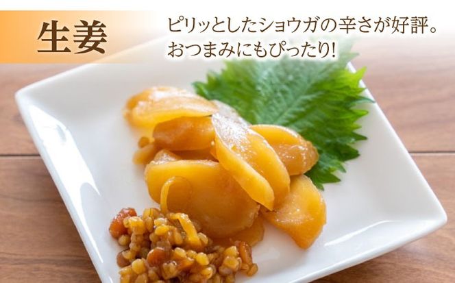 茄子 の 宝漬 （こうじ漬 詰合）800g / 漬物 ご飯のおとも 茄子 きゅうり 生姜 大根 / 南島原市 / 大平食品[SAK004]