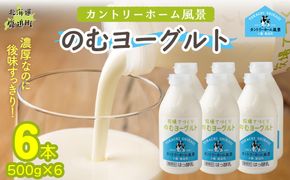 のむヨーグルト 500g ×6 SKB047