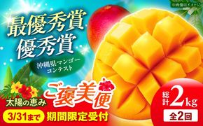 【全2回】太陽の恵み マンゴーご褒美便 (総計2kg) マンゴー 2026 沖縄 果物 フルーツ ギフト 沖縄市 / 仲村農園[BCZZ051]