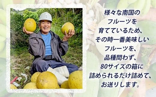 旬の南国フルーツ詰め合わせ！農薬を使わず、森のような畑で栽培する特別な果物 10月から3月は一番人気の文旦が主役！【 沖縄 石垣島 石垣島産 フルーツ 果物 セット 詰合せ 農薬不使用 】OI-19-1