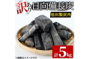 ＜訳あり＞ 日向備長炭(5kg) アウトドア キャンプ用品 BBQ バーベキュー 木炭 国産【IK-4】【池田製炭所】