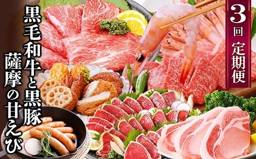 定期便(3回配送)黒毛和牛・黒豚&薩摩の甘エビ　DD5-0002 【1573827】