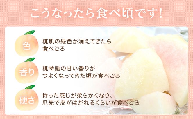 桃 2026年 先行予約 岡山 白桃 ロイヤル 4～6玉 約1kg JA おかやま のもも（早生種・中生種） もも モモ 岡山県産 国産 フルーツ 果物 ギフト 甘い 美味しい 産地直送 贈り物 高糖度 