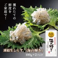 凍結生しらす「海の輝き」 100g 2パック 小分け シラス 冷凍 生しらす しらす