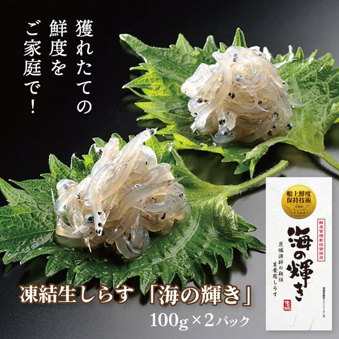 凍結生しらす「海の輝き」 100g 2パック 小分け シラス 冷凍 生しらす しらす