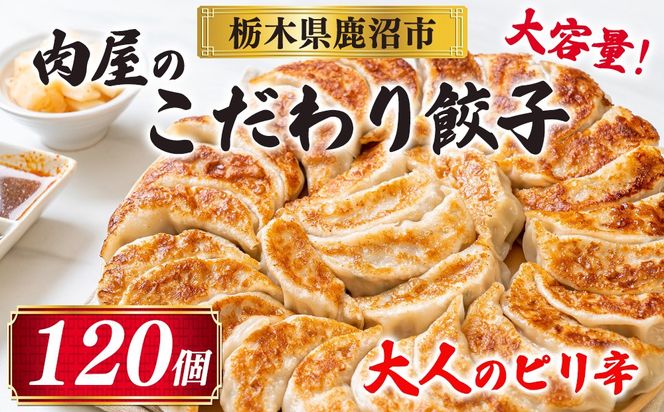 冷凍 生餃子 大人のピリ辛 肉屋の餃子（40個入り） 3パック