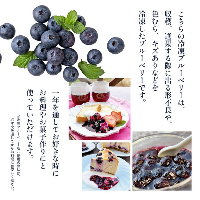 ブルーベリー Lucaho Farm 100g×5p 香川県産 冷凍ブルーベリー1kg 冷凍ブルーベリー フルーツ 果物 くだもの 旬のフルーツ 旬の果物 冷凍 香川 香川県 東かがわ市