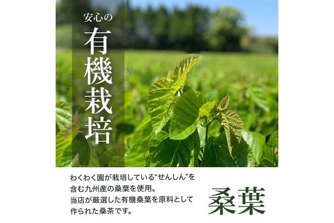 a1023 菊芋桑茶 (100包) 菊芋 スーパーフード 桑の葉茶 健康茶 ハーブ マルベリー ノンカフェイン【わくわく園】