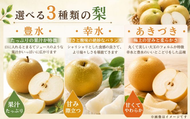 白鳳梨(幸水) 3L 14玉 ※お届けは8月中旬以降の予定です【hkns0003】